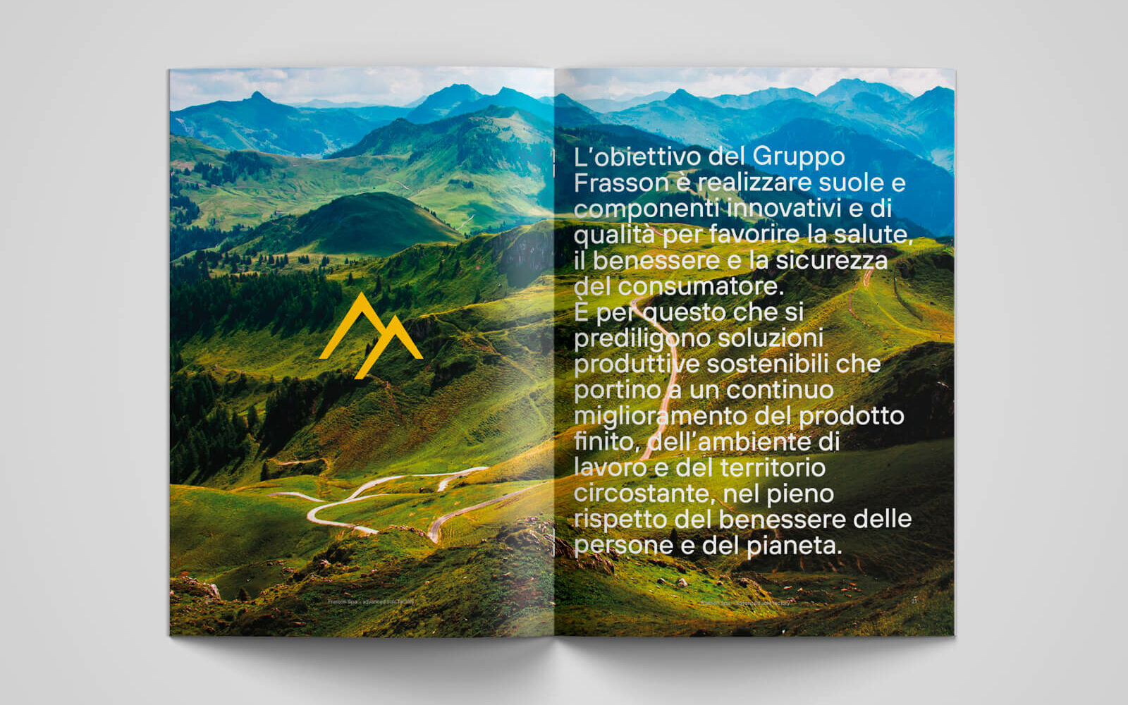 Creazione identità marca