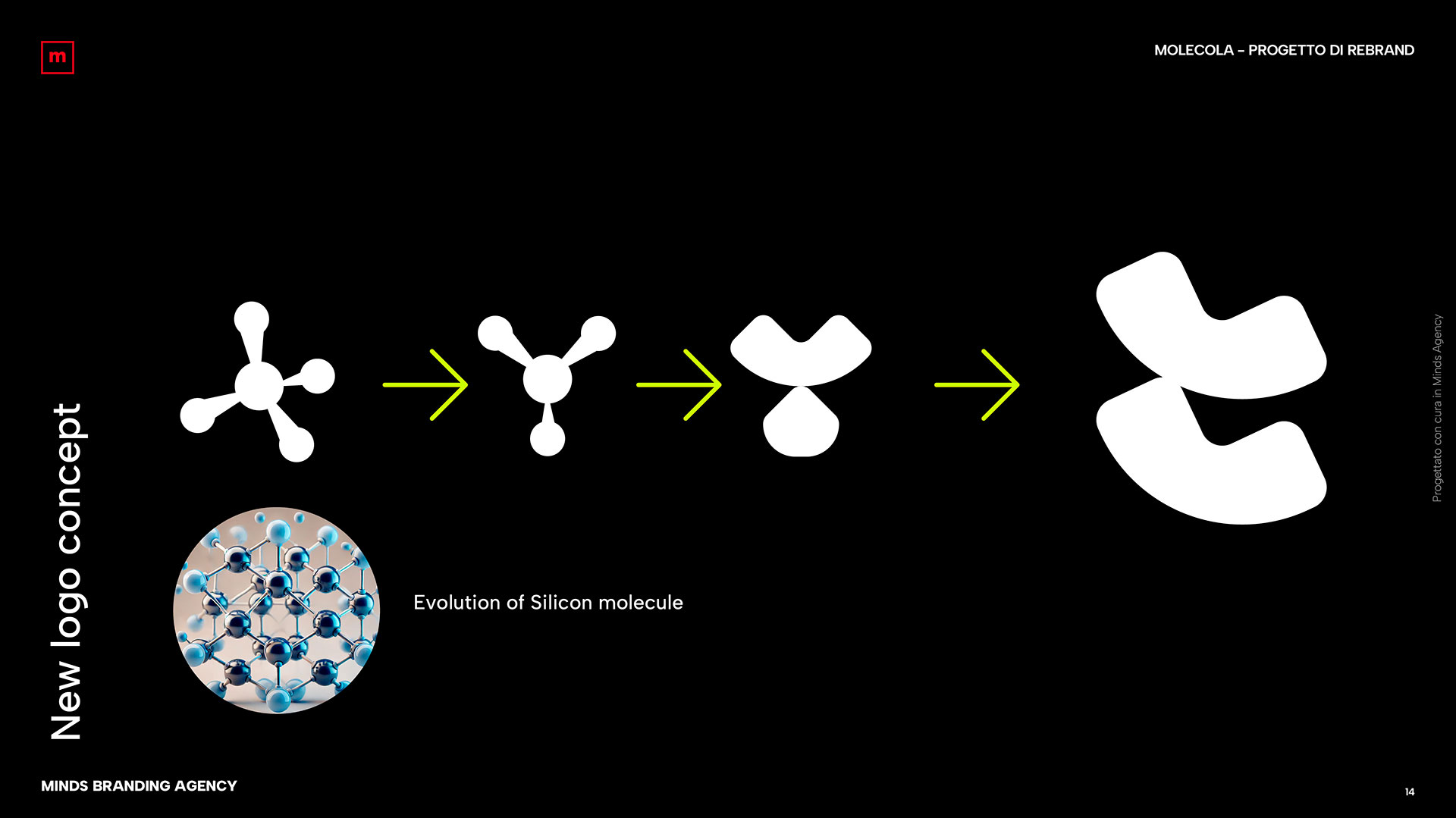 Nuovo concept logo Molecola
